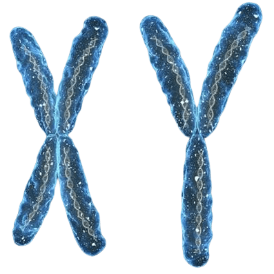 烟台供卵联系方式